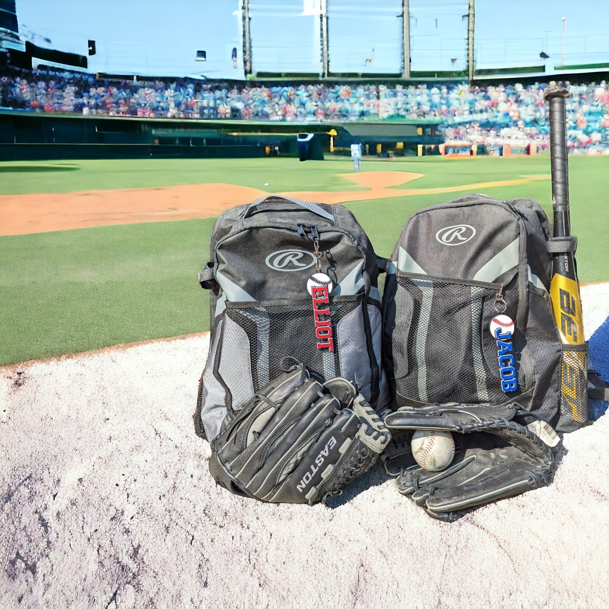 Baseball bag tags on the field